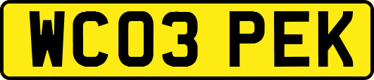 WC03PEK