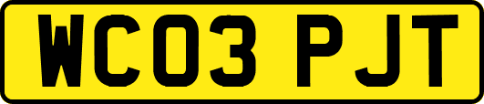 WC03PJT