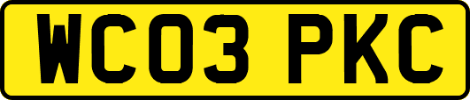 WC03PKC