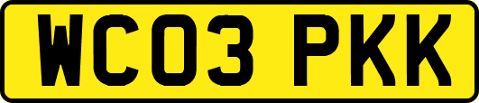 WC03PKK