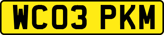 WC03PKM