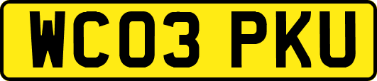 WC03PKU
