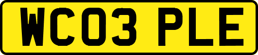 WC03PLE