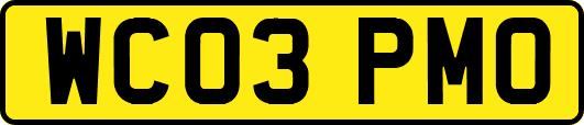 WC03PMO