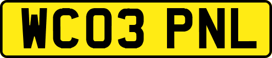 WC03PNL