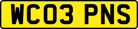 WC03PNS