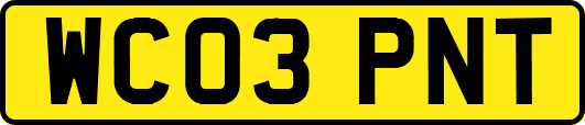 WC03PNT