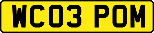 WC03POM