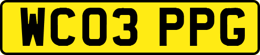 WC03PPG
