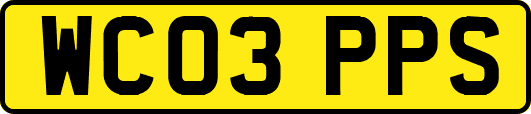 WC03PPS