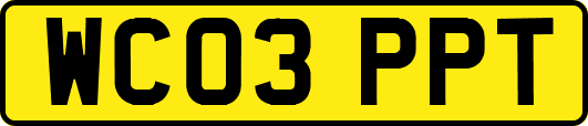 WC03PPT