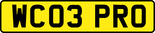 WC03PRO