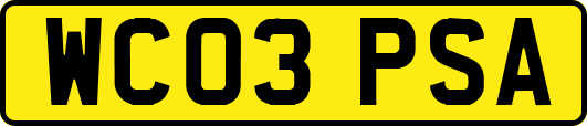 WC03PSA
