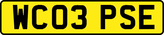 WC03PSE