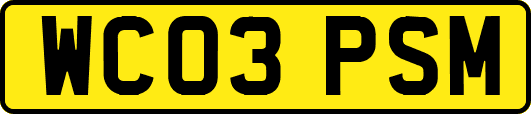 WC03PSM