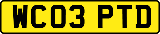 WC03PTD