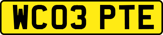 WC03PTE