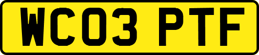 WC03PTF