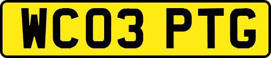 WC03PTG