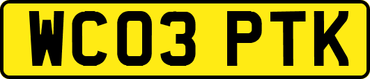 WC03PTK