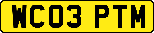 WC03PTM