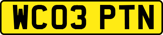 WC03PTN