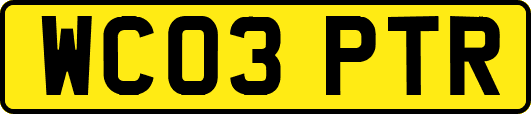 WC03PTR