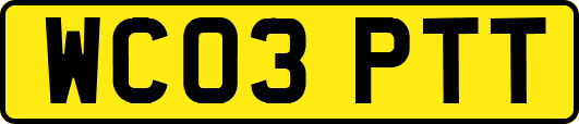 WC03PTT