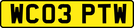 WC03PTW