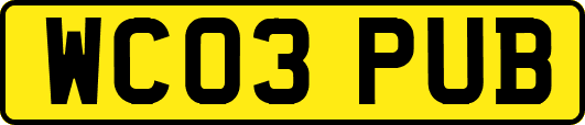 WC03PUB
