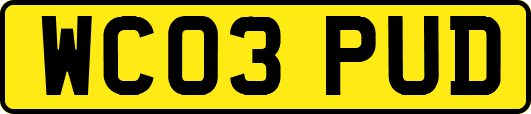 WC03PUD