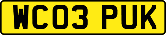 WC03PUK