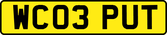 WC03PUT