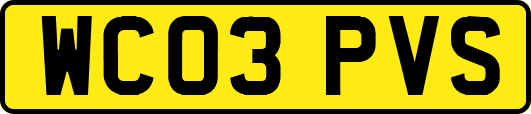 WC03PVS