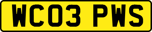 WC03PWS