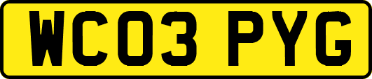 WC03PYG