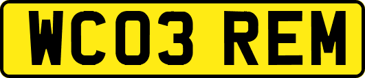 WC03REM