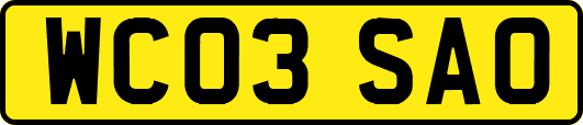 WC03SAO