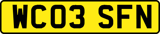 WC03SFN