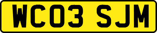 WC03SJM