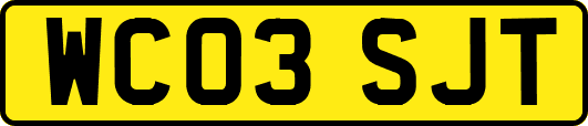 WC03SJT