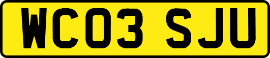WC03SJU