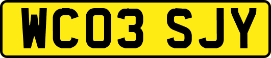 WC03SJY
