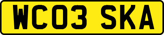 WC03SKA