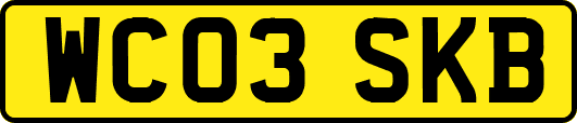 WC03SKB