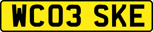 WC03SKE