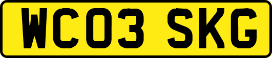 WC03SKG
