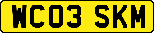 WC03SKM