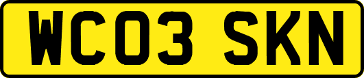 WC03SKN