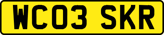 WC03SKR